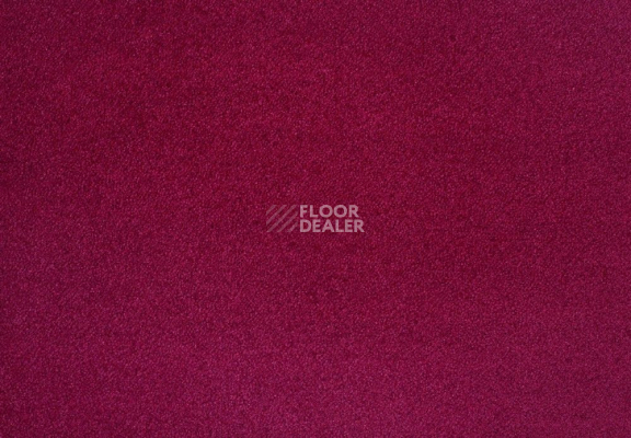 Ковролин Lano Zen 110 фото 1 | FLOORDEALER