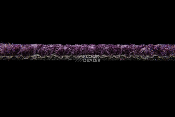 Season - Summer / Winter 880 фото 3 | FLOORDEALER