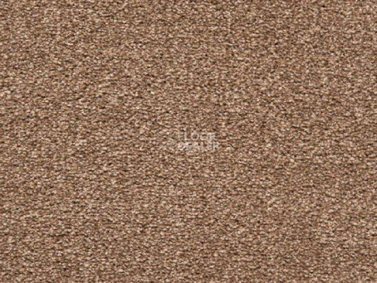 Ковролин Balta Splendid Saxony Splendid Saxony 0825 фото 1 | FLOORDEALER