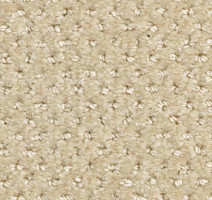 Ковролин Balsan Aquarelle Touch 610 фото 1 | FLOORDEALER