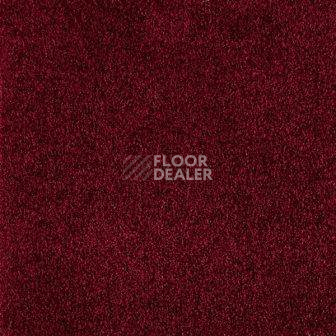 Ковролин Big Vivaldi 443 фото 1 | FLOORDEALER