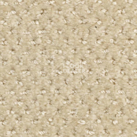 Ковролин Balsan Aquarelle Touch 610 фото 1 | FLOORDEALER