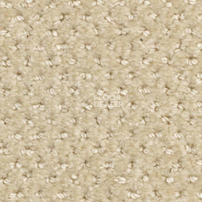 Ковролин Balsan Aquarelle Touch 610 фото 1 | FLOORDEALER