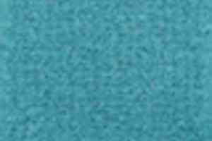 Ковролин Tapibel Casa 24875 фото  | FLOORDEALER