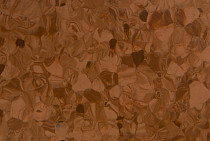 Tarkett Primo Plus 305 фото 2 | FLOORDEALER