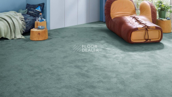 Vorwerk Essential 1076 Vorwerk 4g85 фото 2 | FLOORDEALER