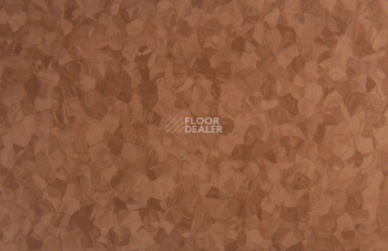 Tarkett iq Melodia 2619 фото 3 | FLOORDEALER