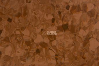 Tarkett Primo Plus 305 фото 2 | FLOORDEALER