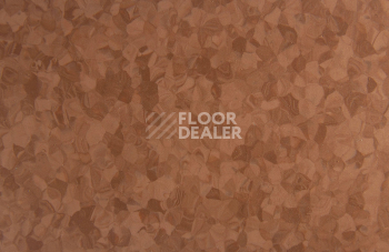 Tarkett iq Melodia 2619 фото 3 | FLOORDEALER