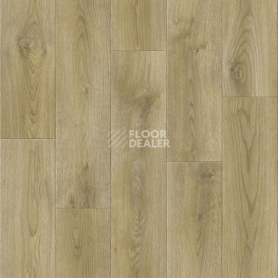 Линолеум Tarkett Absolut LUIS 1 фото 1 | FLOORDEALER