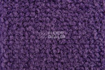 Balsan Les Best S 886 фото 2 | FLOORDEALER