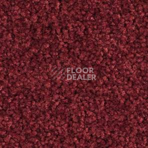 Ковролин Balsan Bolero roll 590 фото 1 | FLOORDEALER