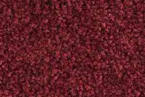 Ковролин Balsan Bolero roll 590 фото  | FLOORDEALER