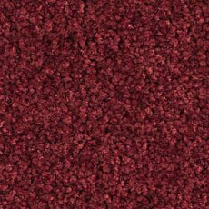 Ковролин Balsan Bolero roll 590 фото 1 | FLOORDEALER