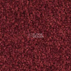 Ковролин Balsan Bolero roll 590 фото 1 | FLOORDEALER
