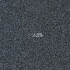 Ковролин Gleam W2W 579 Gleam w2w фото 1 | FLOORDEALER