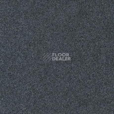 Ковролин Gleam W2W 579 Gleam w2w фото 1 | FLOORDEALER