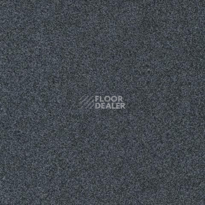 Ковролин Gleam W2W 579 Gleam w2w фото 1 | FLOORDEALER