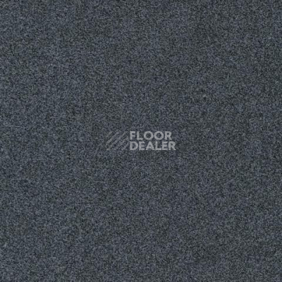 Ковролин Gleam W2W 579 Gleam w2w фото 1 | FLOORDEALER