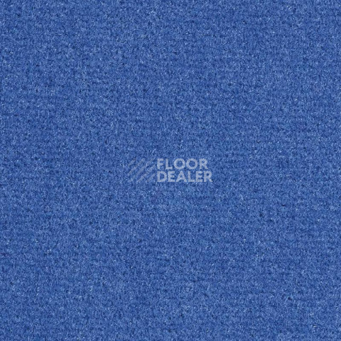 Balsan Sydney DD 160 фото 1 | FLOORDEALER