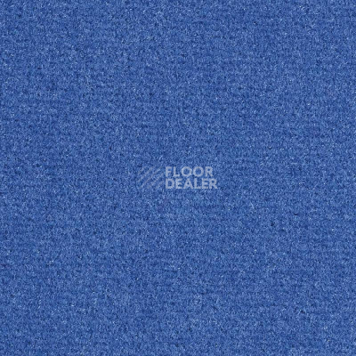 Ковролин Balsan Sydney DD 160 фото 1 | FLOORDEALER