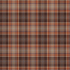 Agnella Creation Gordon Umber фото 1 | FLOORDEALER