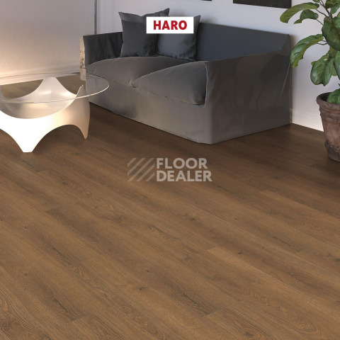 Haro Tritty 100 4V Дуб Флавия Дымчатый 544705 фото 3 | FLOORDEALER