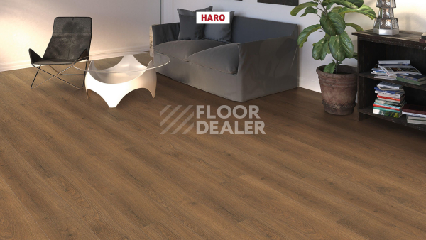 Ламинат Haro Tritty 100 4V Дуб Флавия Дымчатый 544705 фото 3 | FLOORDEALER