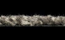 Forbo Coral Classic 4764 Taupe фото 3 | FLOORDEALER