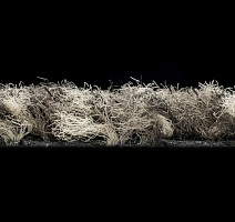 Forbo Coral Classic 4764 Taupe фото 3 | FLOORDEALER