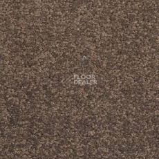 Ковровая плитка Modulyss Cambridge 830 фото 1 | FLOORDEALER