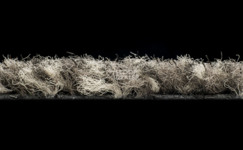 Forbo Coral Classic 4764 Taupe фото 3 | FLOORDEALER