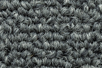 Art Intervention Коллекция Creative Spark Creative Spark 969 фото 5 | FLOORDEALER