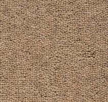 Ковролин Best Wool Nature Berlin 131 фото 1 | FLOORDEALER