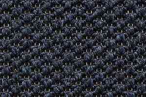 Ковролин Carpet Concept Eco Tre 681007 фото  | FLOORDEALER