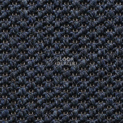 Ковролин Carpet Concept Eco Tre 681007 фото 1 | FLOORDEALER