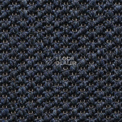 Ковролин Carpet Concept Eco Tre 681007 фото 1 | FLOORDEALER