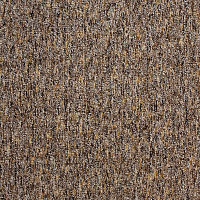 Ковролин AW Savannah 44 фото 1 | FLOORDEALER