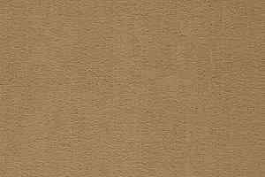 Ковролин Balta ITC President 40 фото  | FLOORDEALER