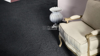 Vorwerk Superior 1041 Vorwerk 9f75 фото 2 | FLOORDEALER