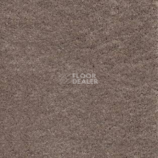 Ковролин AW Satin 34 фото 1 | FLOORDEALER