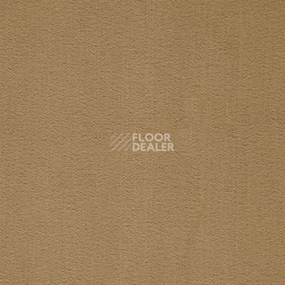 Ковролин Balta ITC President 40 фото 1 | FLOORDEALER