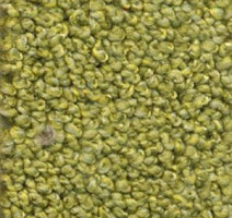 Ковролин Dura Oriental 513 фото 1 | FLOORDEALER