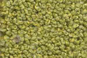 Ковролин Dura Oriental 513 фото  | FLOORDEALER