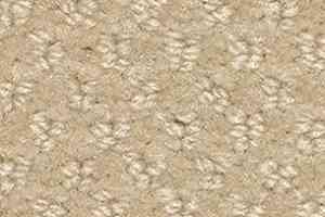 Ковролин Balsan Aquarelle Aquarelle 610 фото  | FLOORDEALER