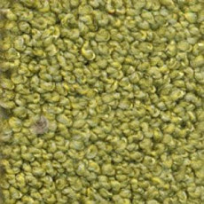 Ковролин Dura Oriental 513 фото 1 | FLOORDEALER