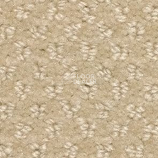Ковролин Balsan Aquarelle Aquarelle 610 фото 1 | FLOORDEALER