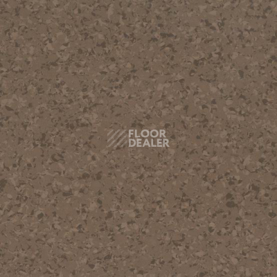 Линолеум Mipolam Affinity EL7 4144 фото 1 | FLOORDEALER