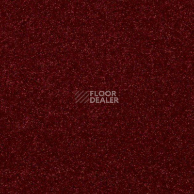 Ковролин Shaw Design Texture Platinum 821 фото 1 | FLOORDEALER