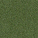 Ковролин Girloon Standard 455  | FLOORDEALER